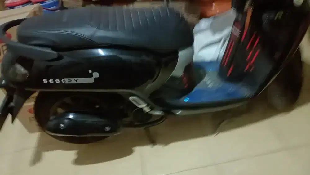 Scoopy pristige 2026