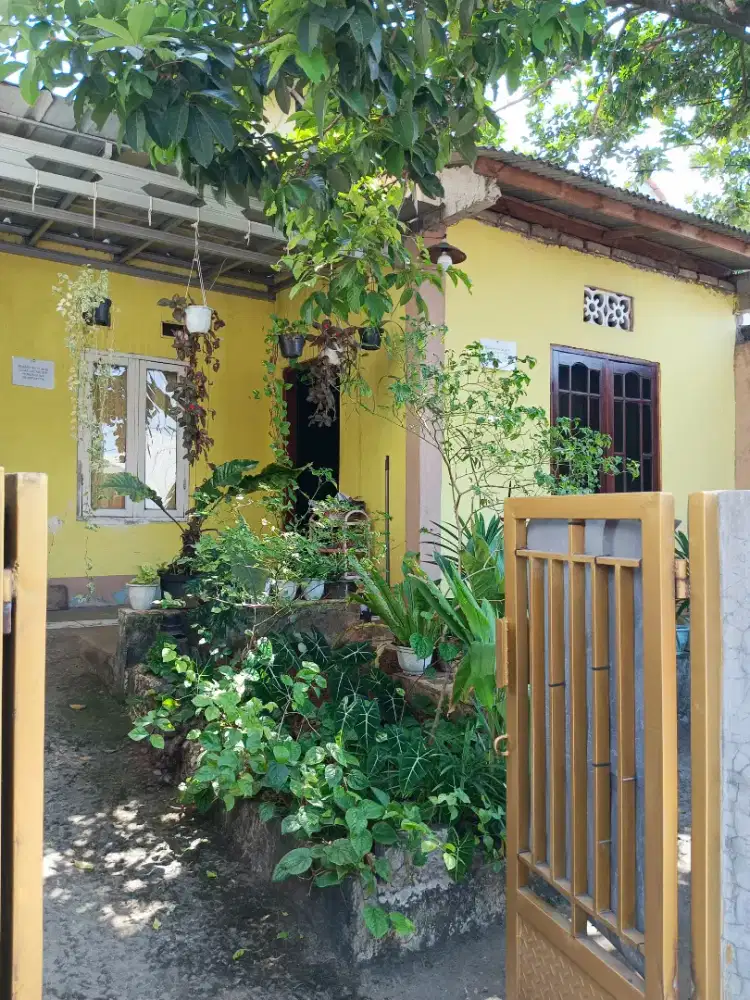 Dijual Rumah Pribadi , Kampung kelapa , Desa Rawa Panjang .