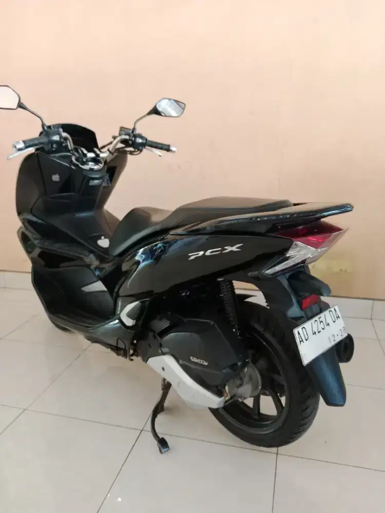 Pcx 2019 ad solo