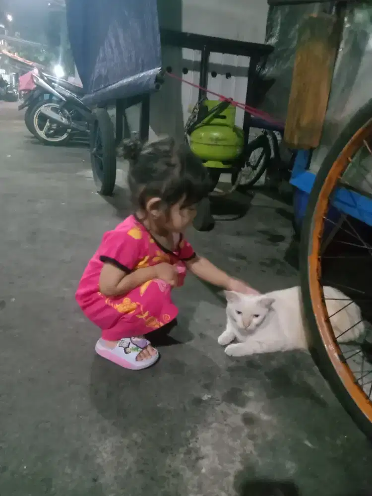 Mencari pekerjaan Art