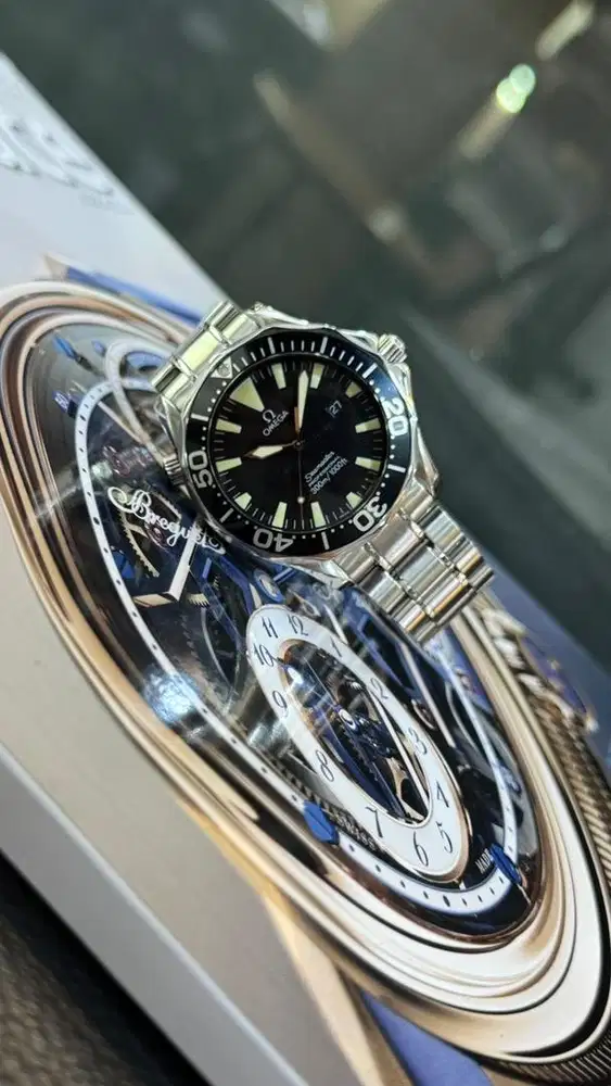 Omega Seamaster Professional