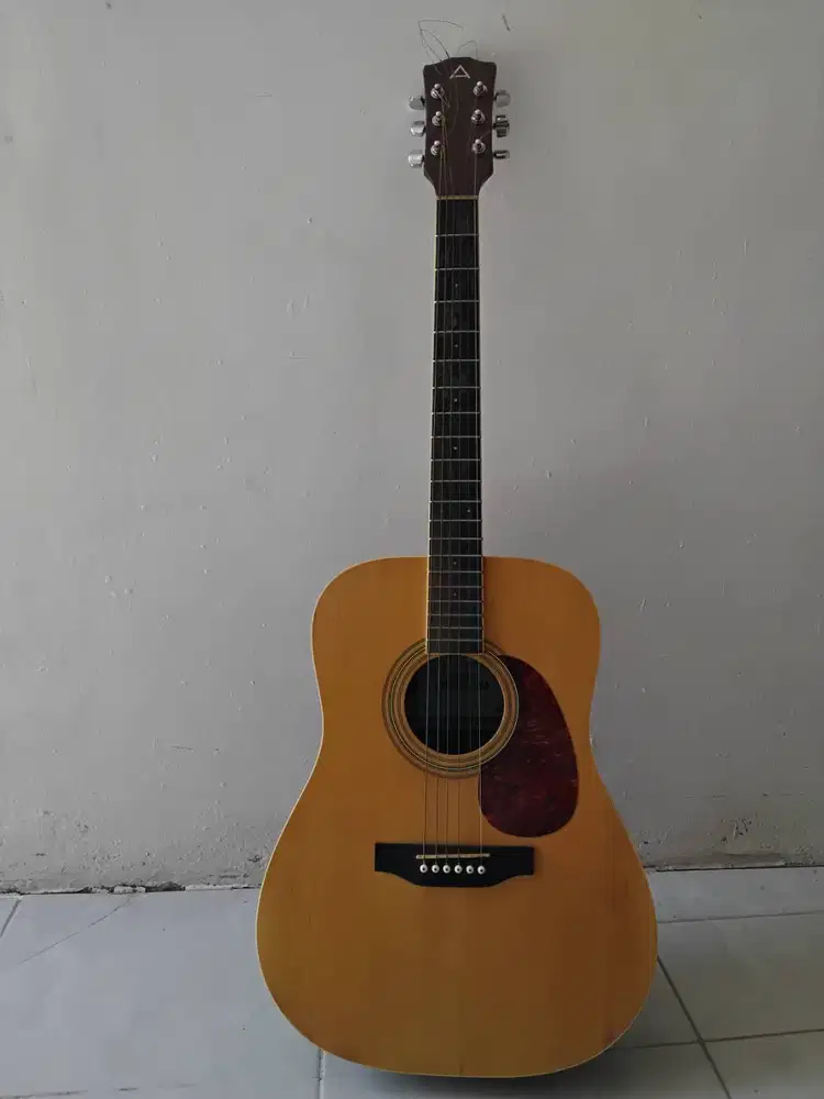 Gitar anderson afe 12 original