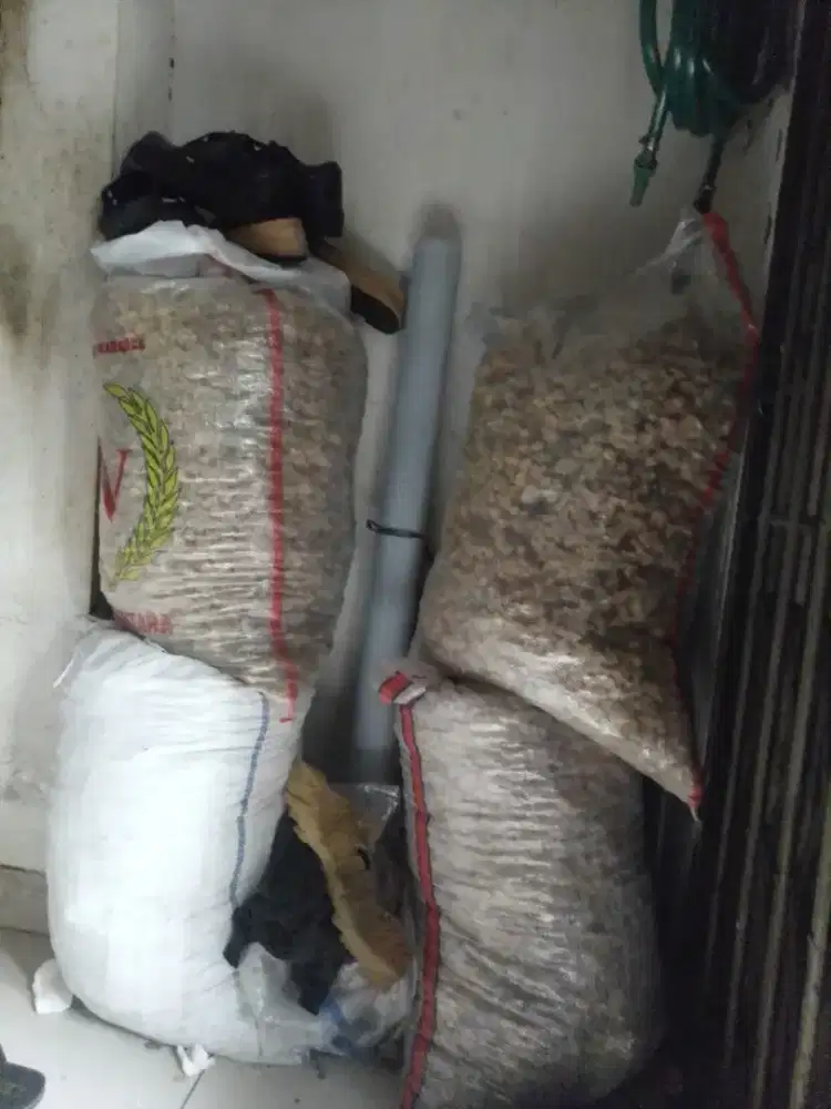 Nasi aking pakan ternak