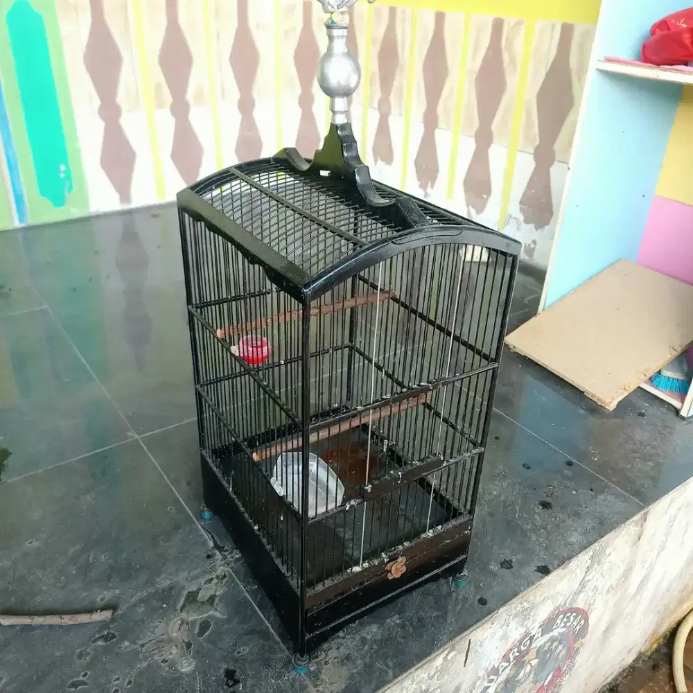 Kandang replika nomor 5