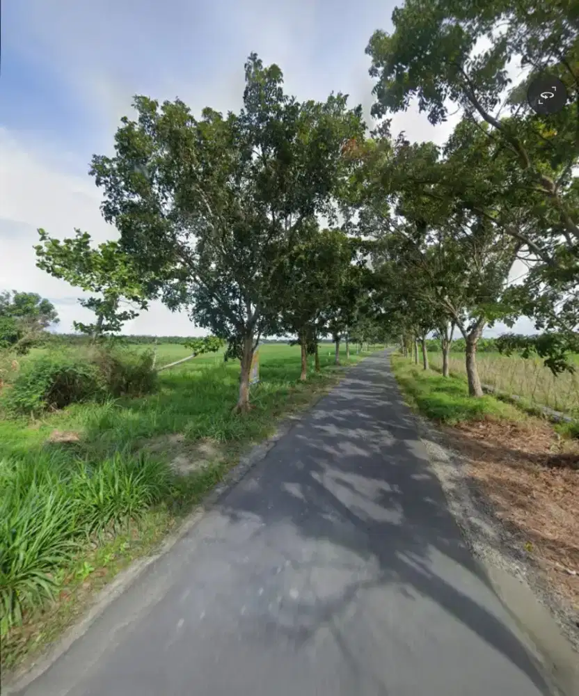 TANAH DEKAT BANDARA KUALANAMU RANTAU PANJANG PANTAI LABU
