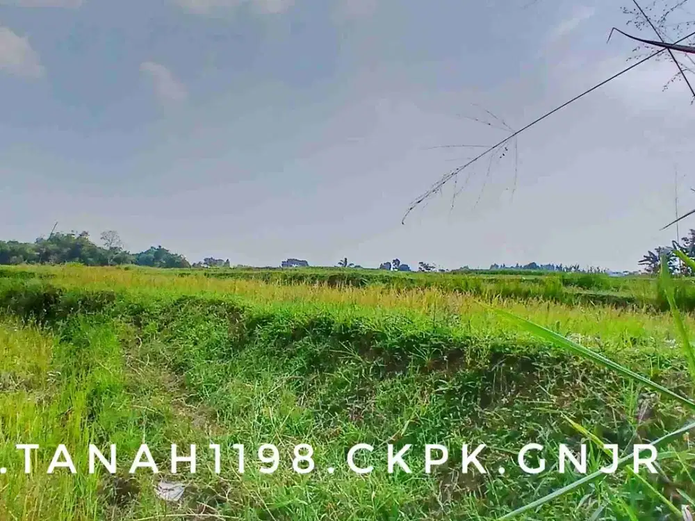 Dijual tanah pinggir jalan view bagus subur akses mudah
