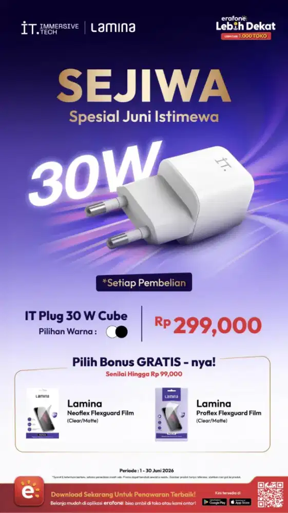 adaptor plug 30 w