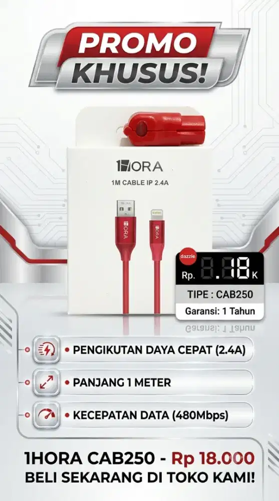 1 HORA KABEL DATA C TO L CAB 250