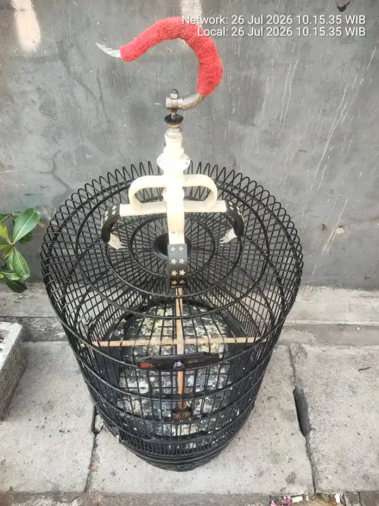 Sangkar oriq jaya.ukuran 48