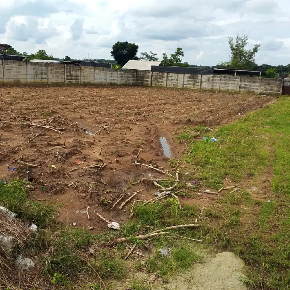 Tanah itera 668meter (TT/BT Mobil bisa)