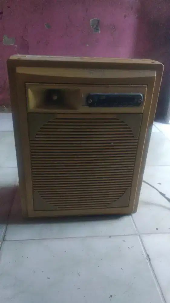 Amplifier portable wireless
