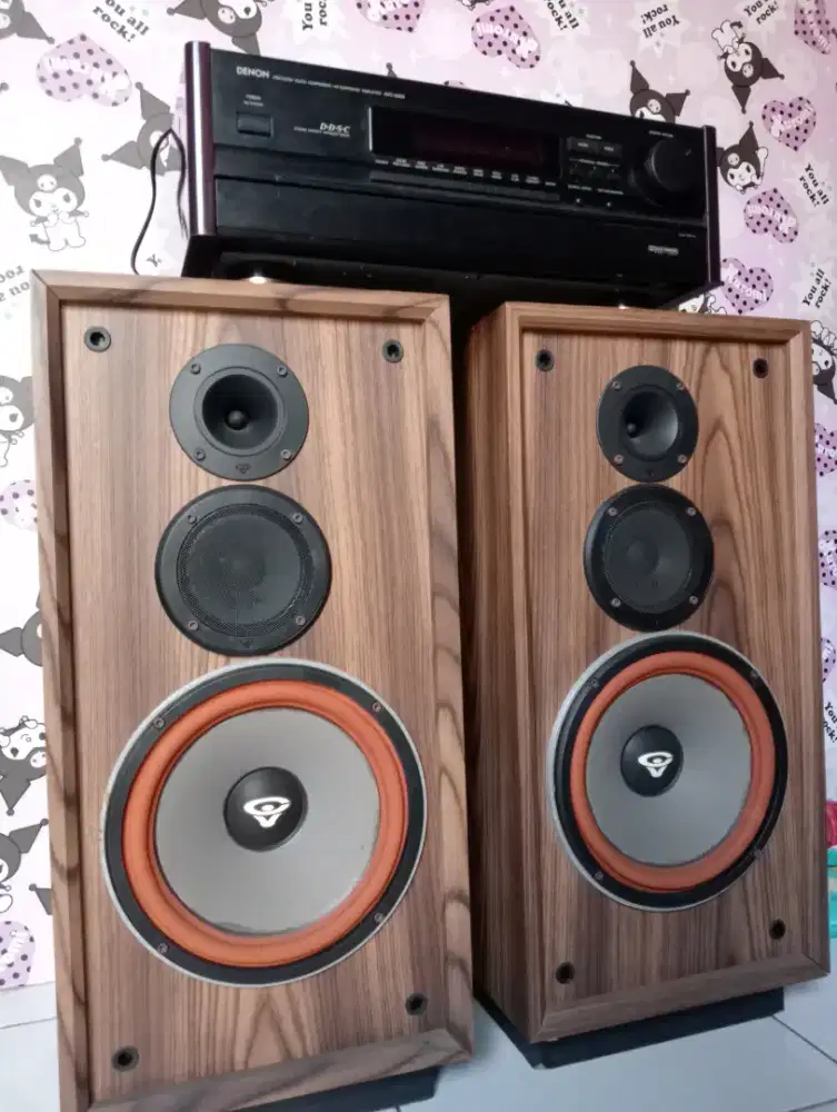 Spiker Carwin Vega dan amplifier DNON