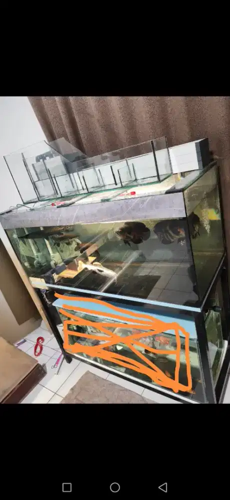 Aquarium besar siap pajang