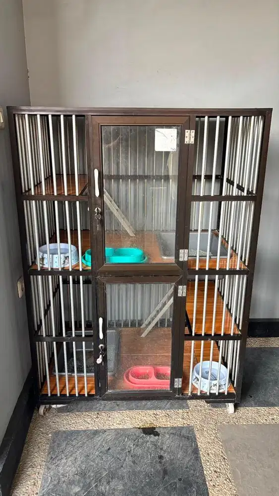 Kandang kucing 2 tingkat mantap