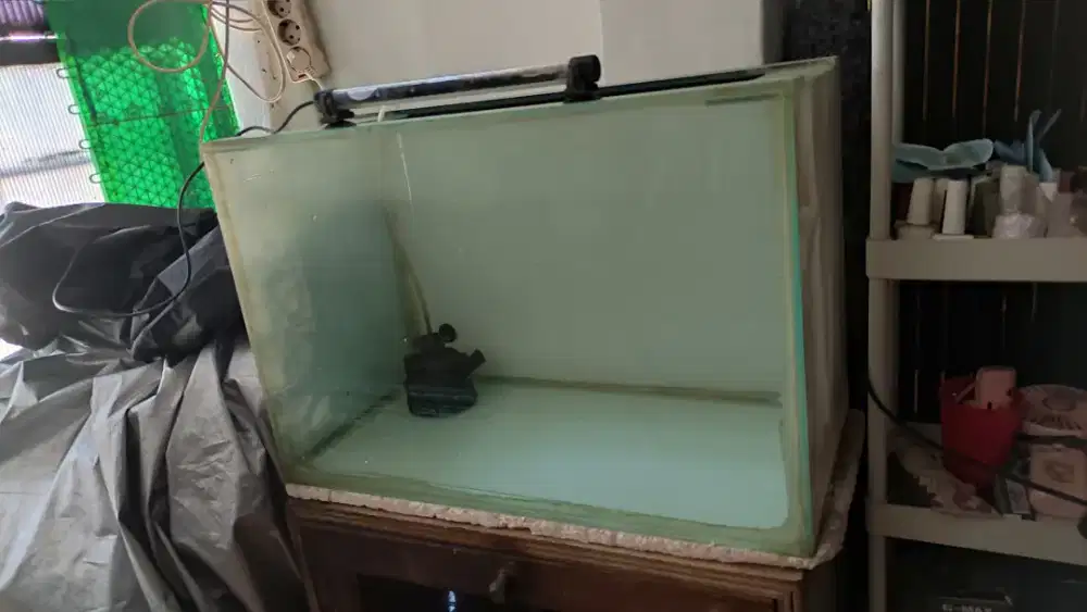 Aquarium 55x30x37 background putih