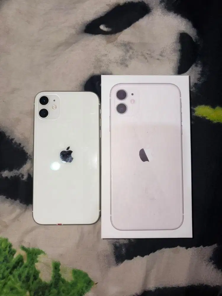 iphone 11 inter