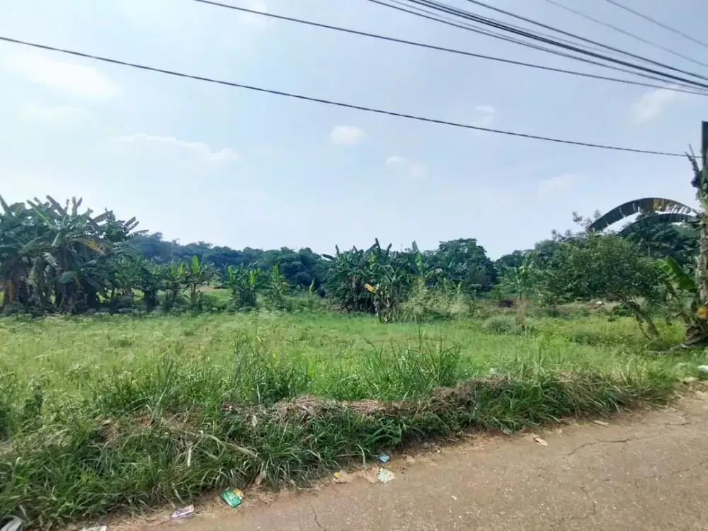 Kavling Area Perkembangan 4 Menit Gelora Pakansari Free SHM