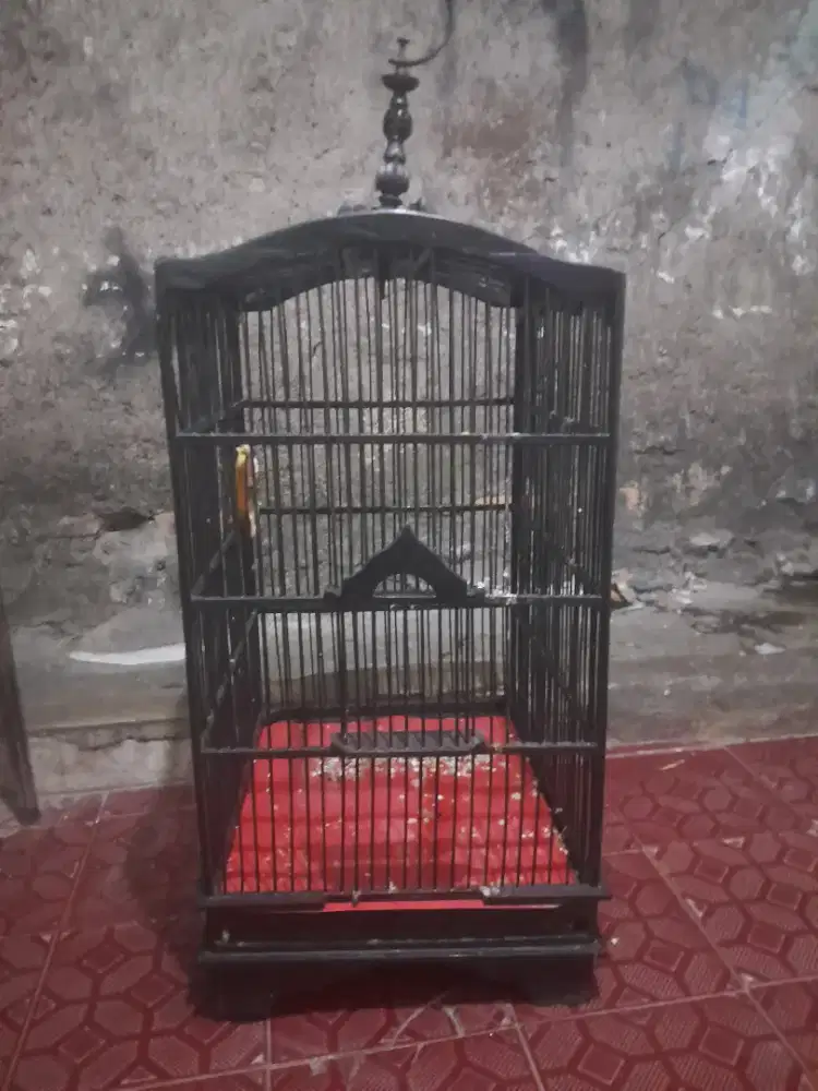 Kandang masih layak pakai 50 net