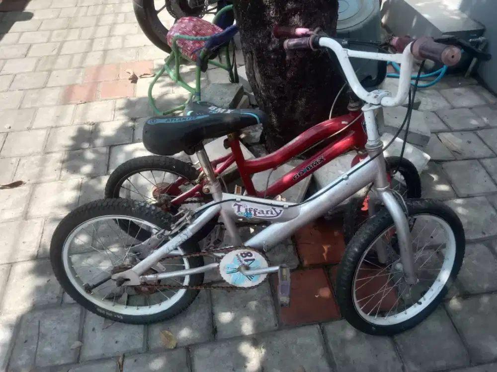 sepeda anak 2 dan dewasa