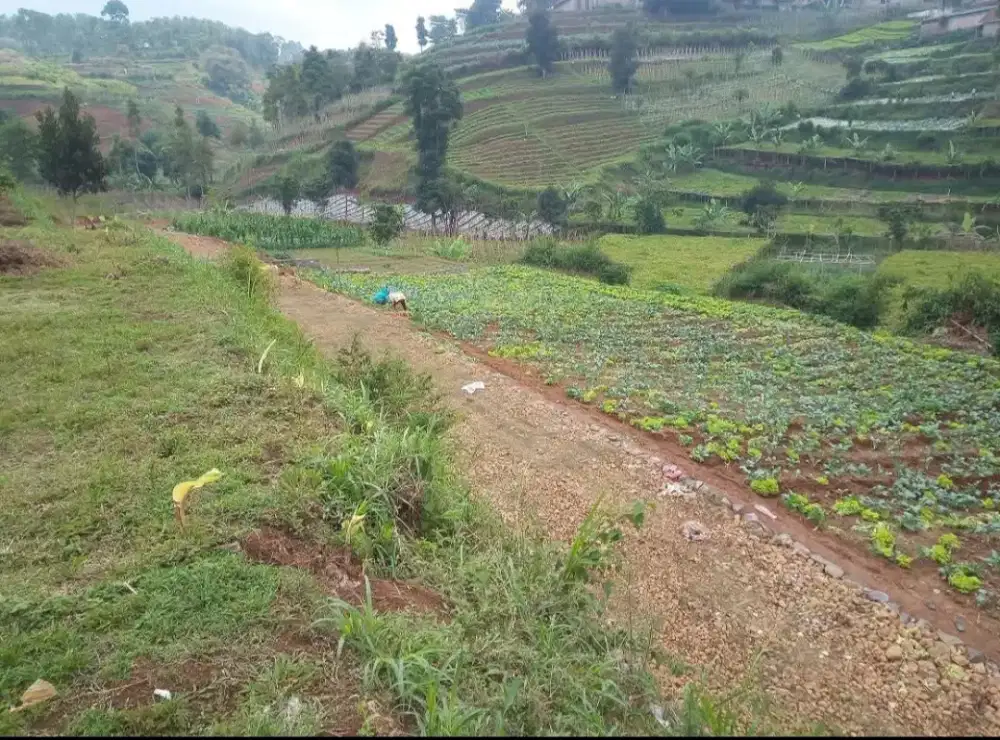 Dijual tanah kavling di Pakuhaji, KBB