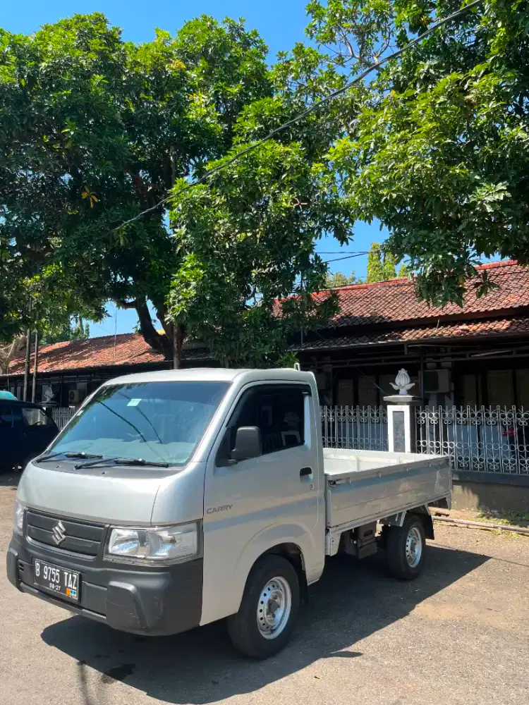 NEW CARRY TAYO PICKUP