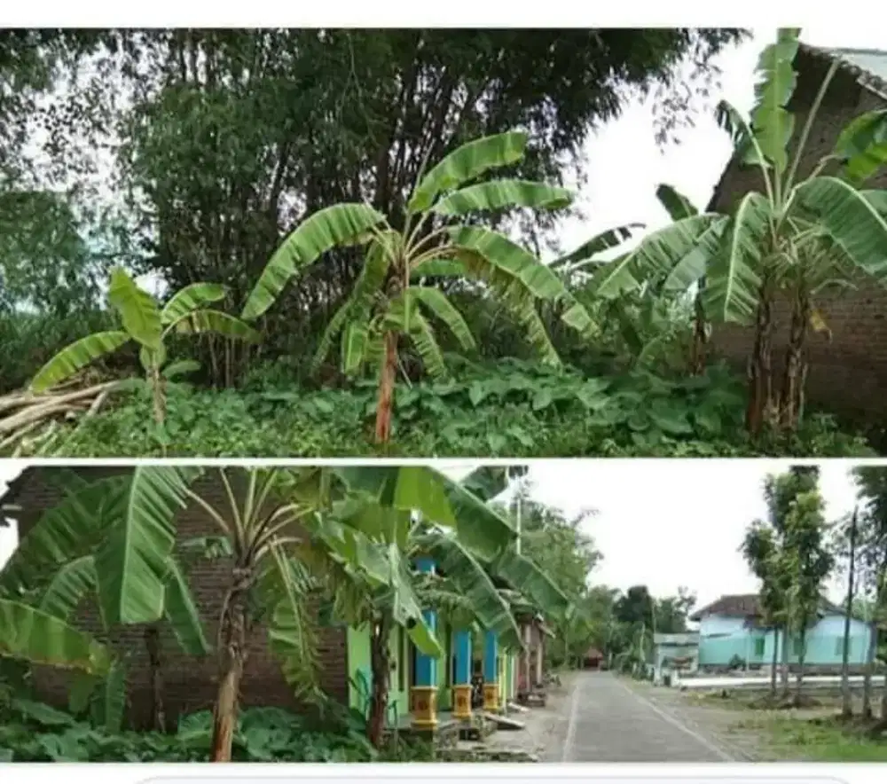 Jual tanah 7x10m2 surat letter C harga 40jt nego