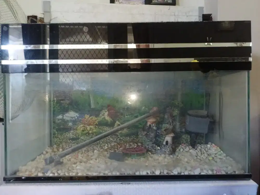 Jual aquarium bekas