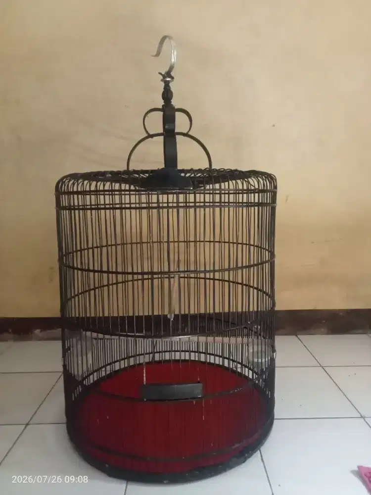 Kandang muray no 2