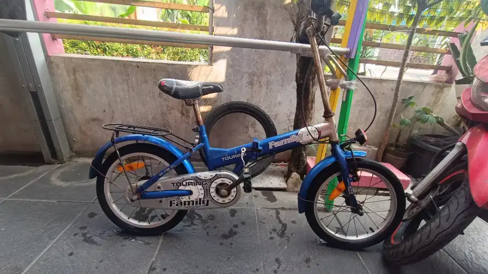 Sepeda anak merk family toring