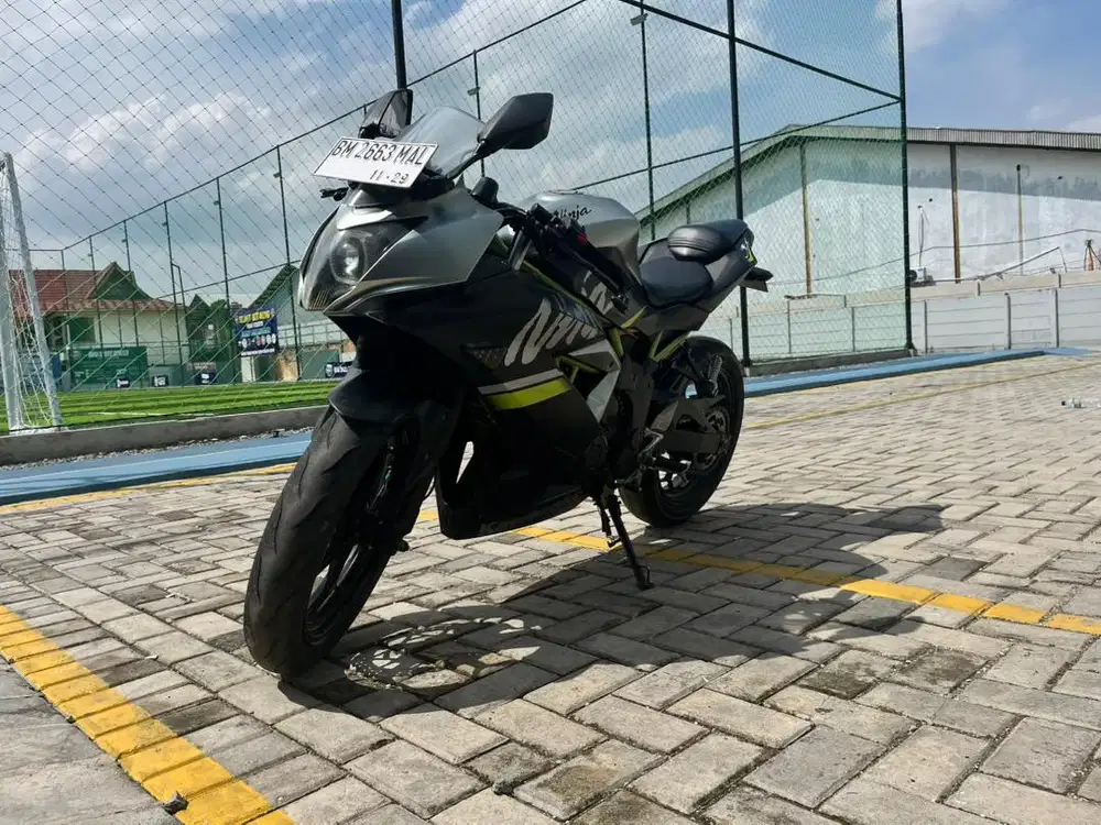 Kawasaki 250 cc mono