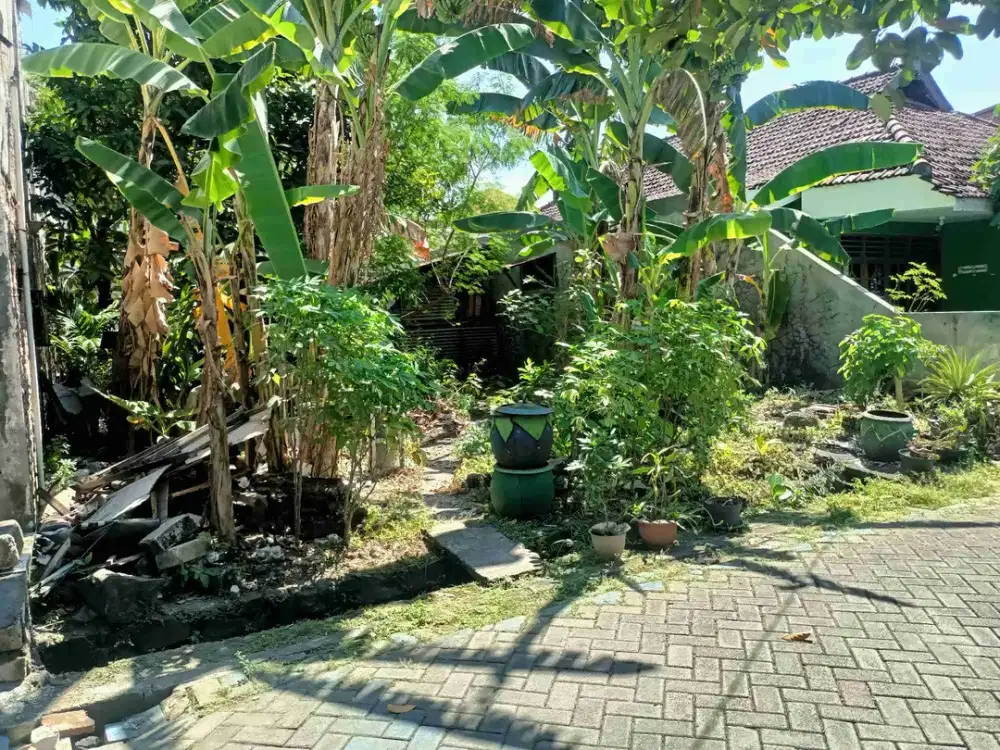 Dijual Tanah Karangan jaya Wiyung Surabaya siap bangun Bebas Banjir