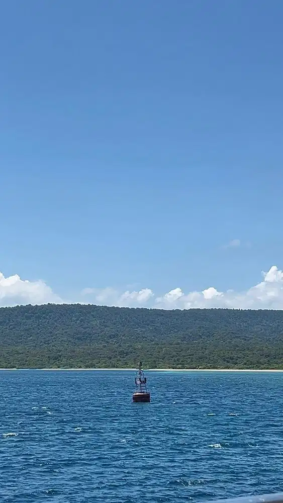 Dicari ART Pulang hari