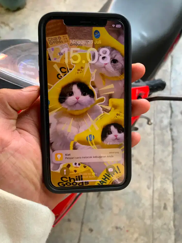 Iphone X 256gb inter