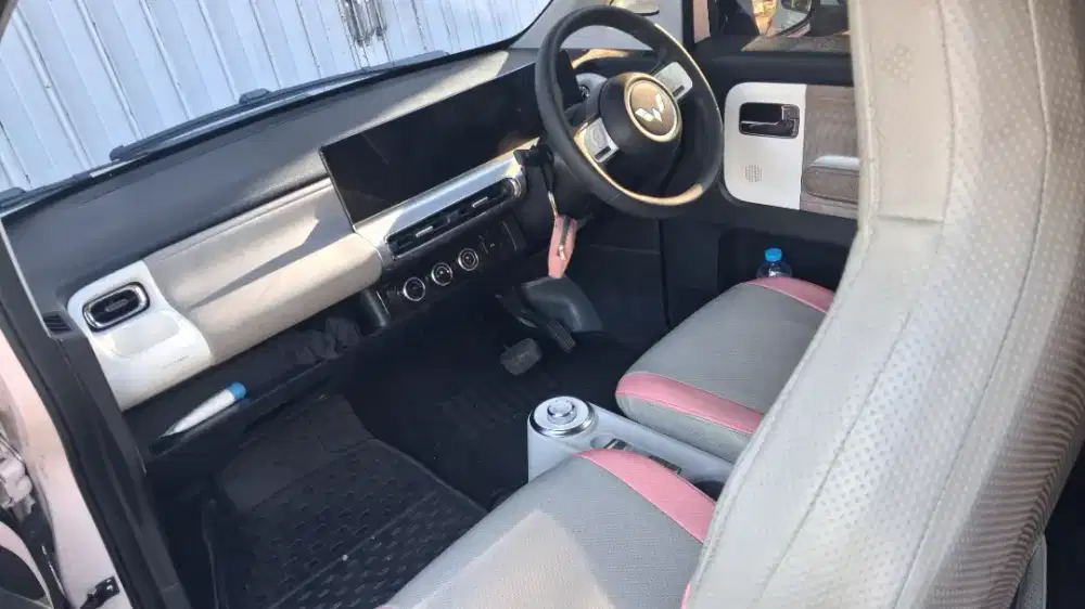 AIR EV LONG RANGE PINK