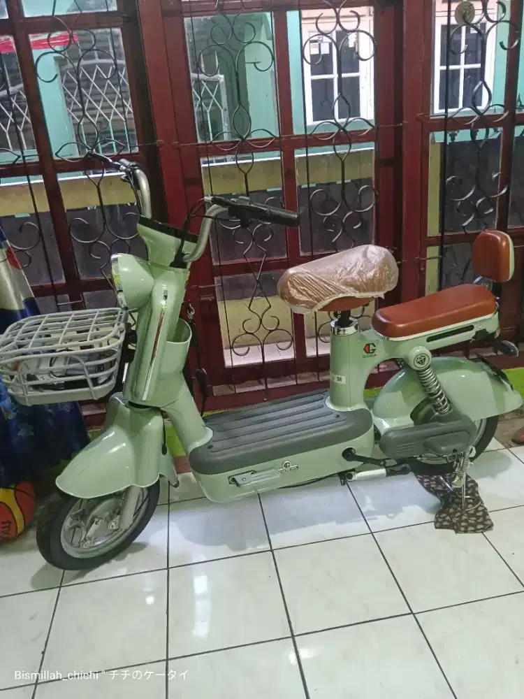 Sepeda listrik goda panda