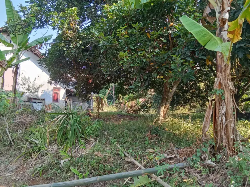Dijual tanah kebun