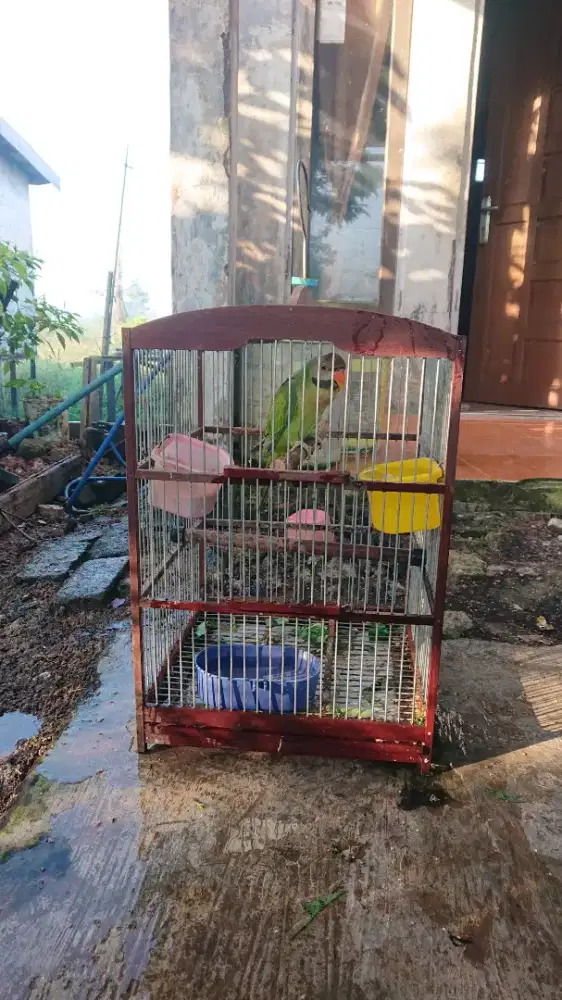 sangkar sama isi nya lokasi landasan ulin