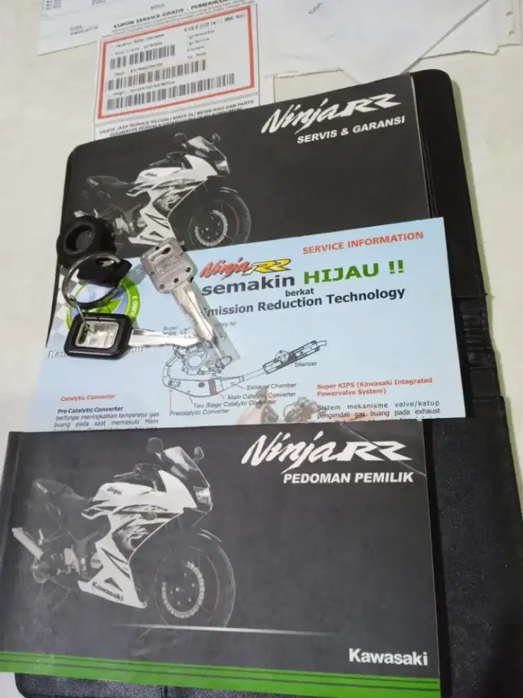Kawasaki ninja rr 150 SE