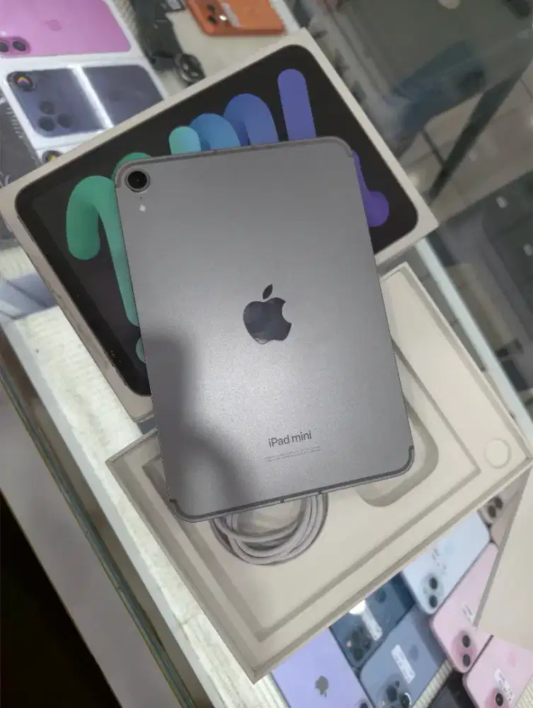 iPad mini 7 256GB inter wifi cell