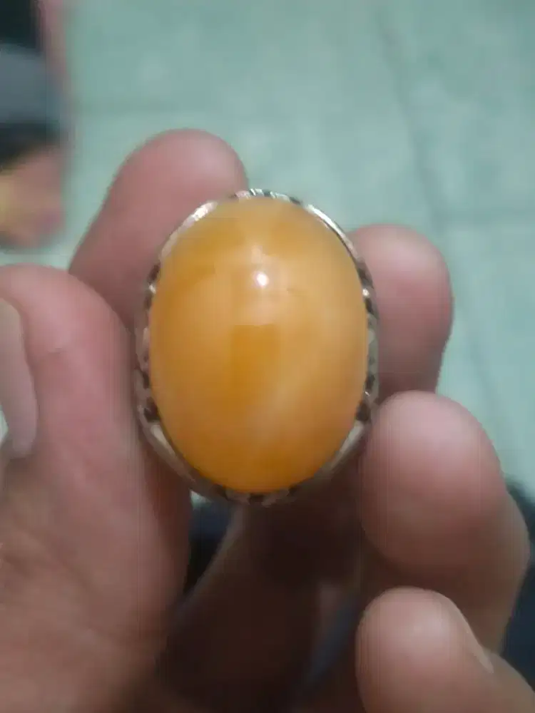 Di jual natural calchite/fossil m4ni g4jah
