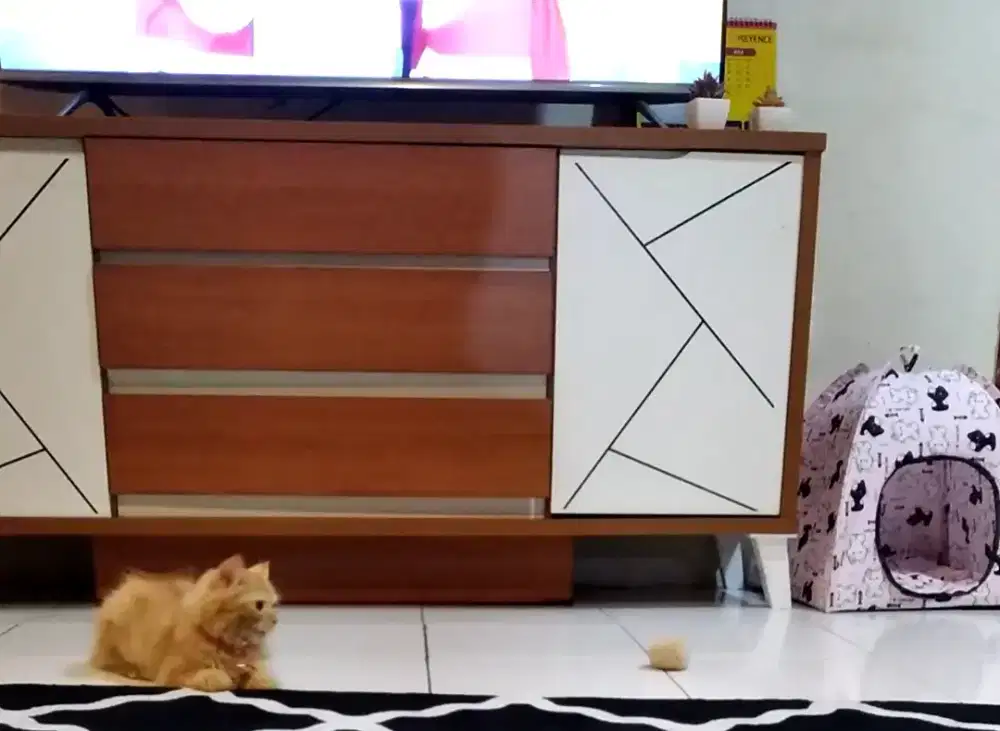 Meja tv.. muat tv sampai 55inch