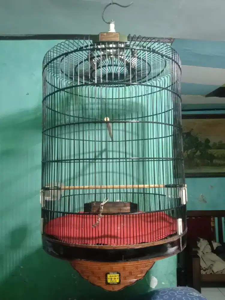 Sangkar Murai Dm 59 No 1 bekas layak pakai,  Siap antar