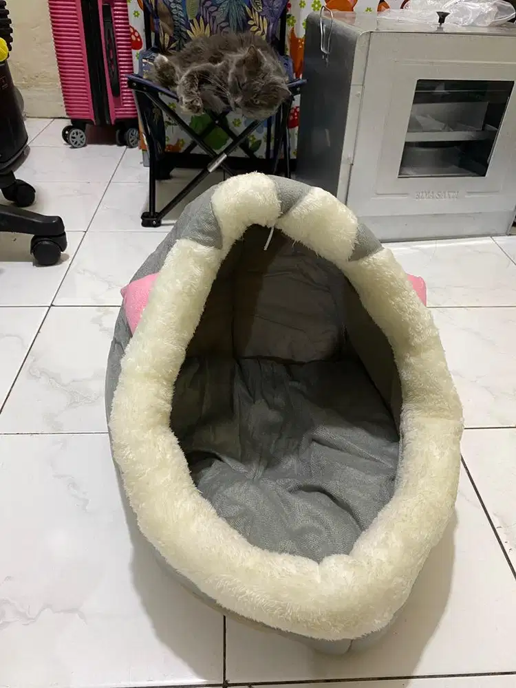 Tempat tidur kucing & pet cargo