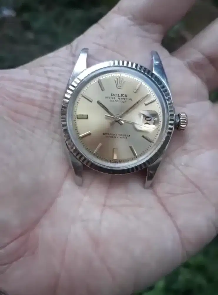 Rolex 1601 mati total