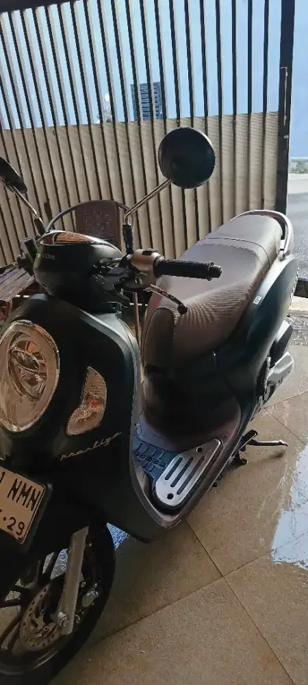 Scoopy Prestige 2024