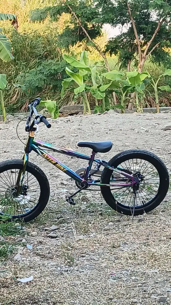 Bmx interbike rainbow
