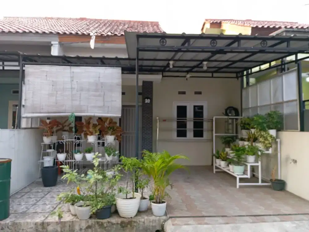 DISEWAKAN RUMAH CLUSTER ROSELLA