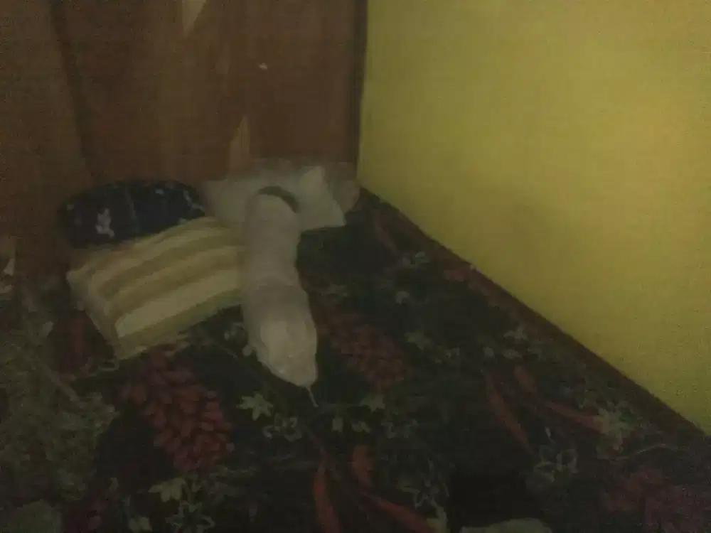 KASUR INOAC BAGUS