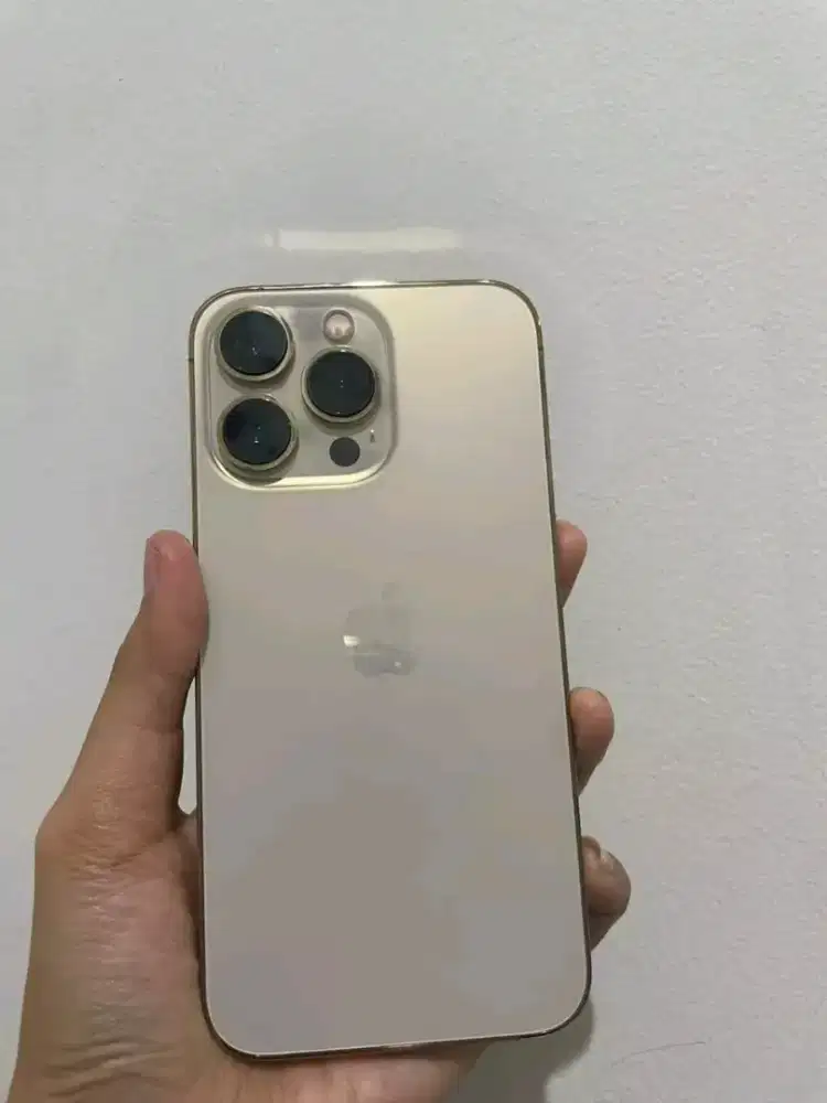 Jual Iphone 13pro 256gb beacukai