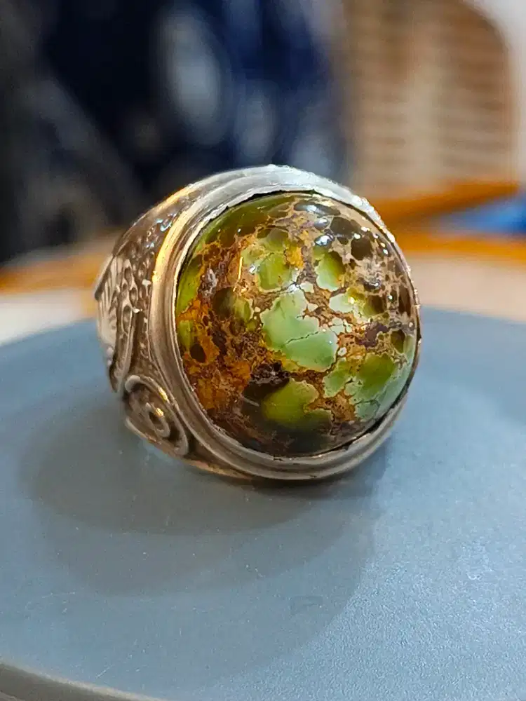 Pirus persia gradasi cakep